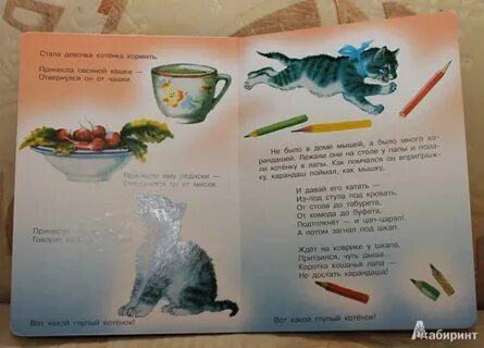 Книга пипец котенку 1