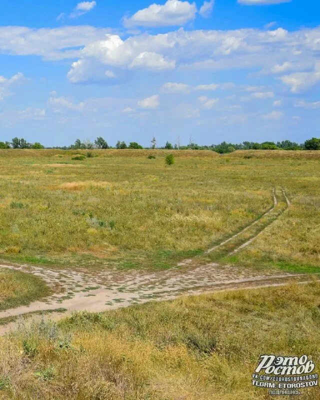 запах степи