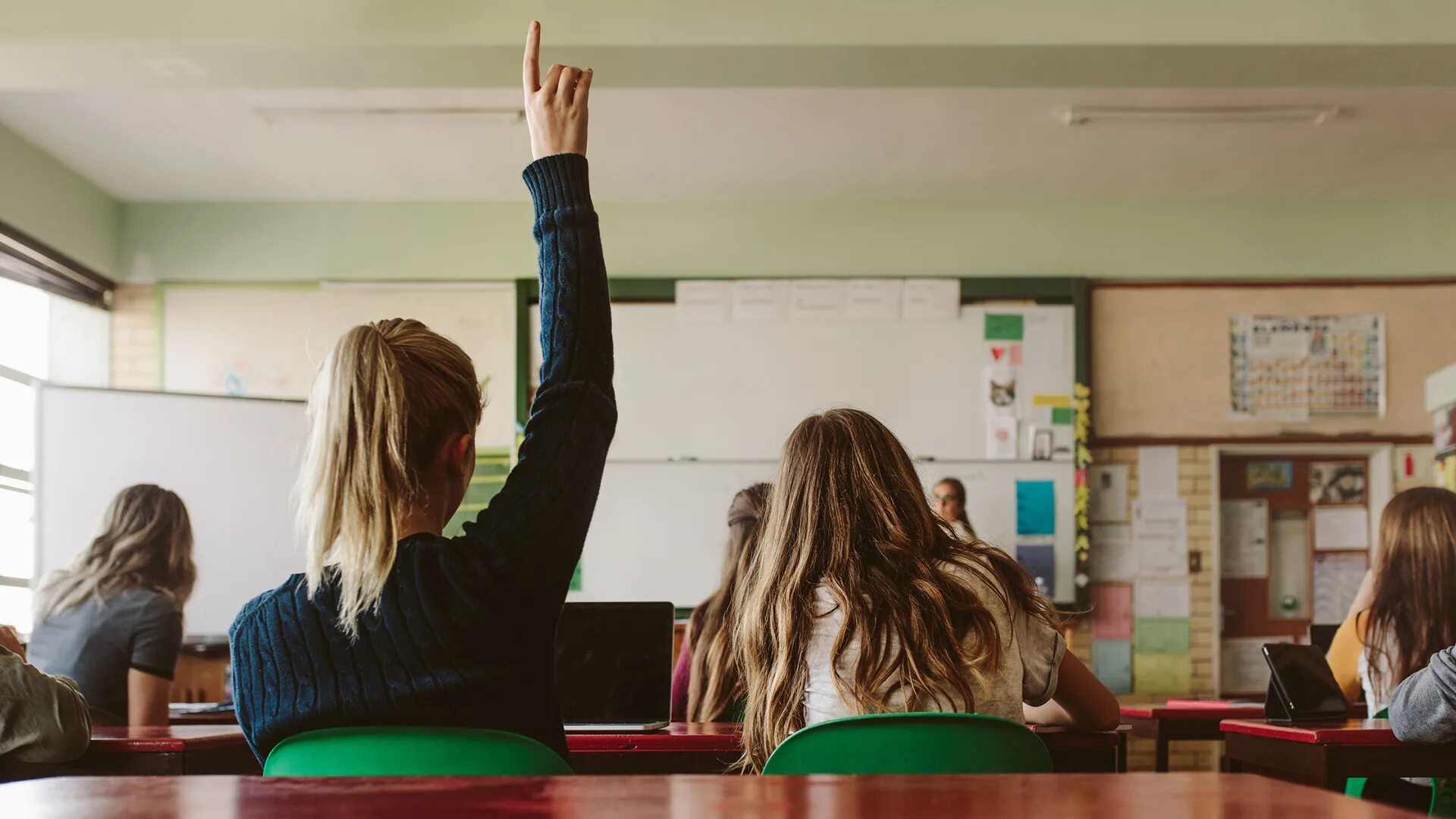 The girl in your class