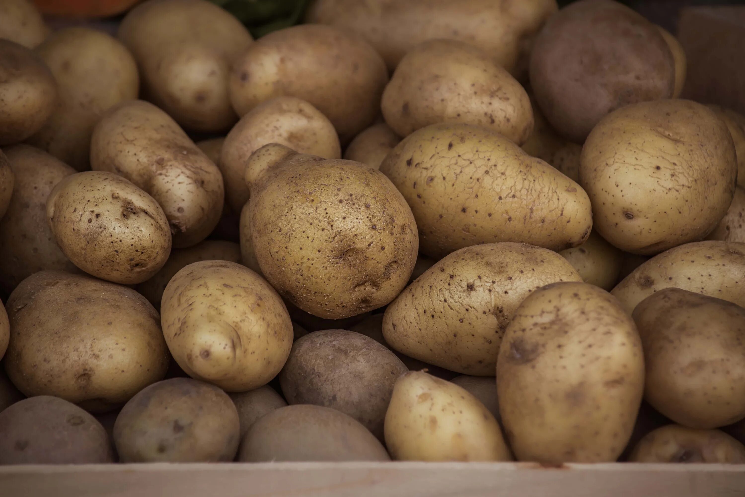 Potatoes picture. Коричневый картофель. Коричневая картошка. Органический картофель. Импортная картошка.