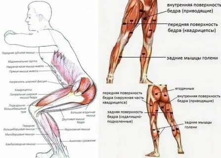 После приседания болят мышцы
