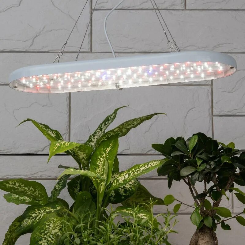 Светильник для растений эра отзывы. Эра fito-25w-qled-fly. светодиодный подвесной светильник «fito-25w-qled-fly б0053062». лампа для растений эра. светильник для огорода.