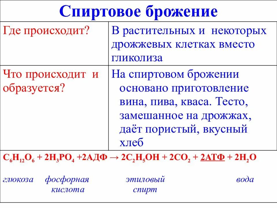 Формула подготовительного этапа энергетического обмена. Формула кислородного этапа энергетического обмена. Этапы энергетического обмена гликолиз. 3 этап энергетического обмена происходит