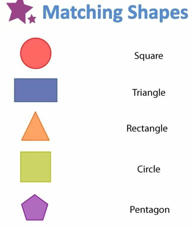 Shape explanation