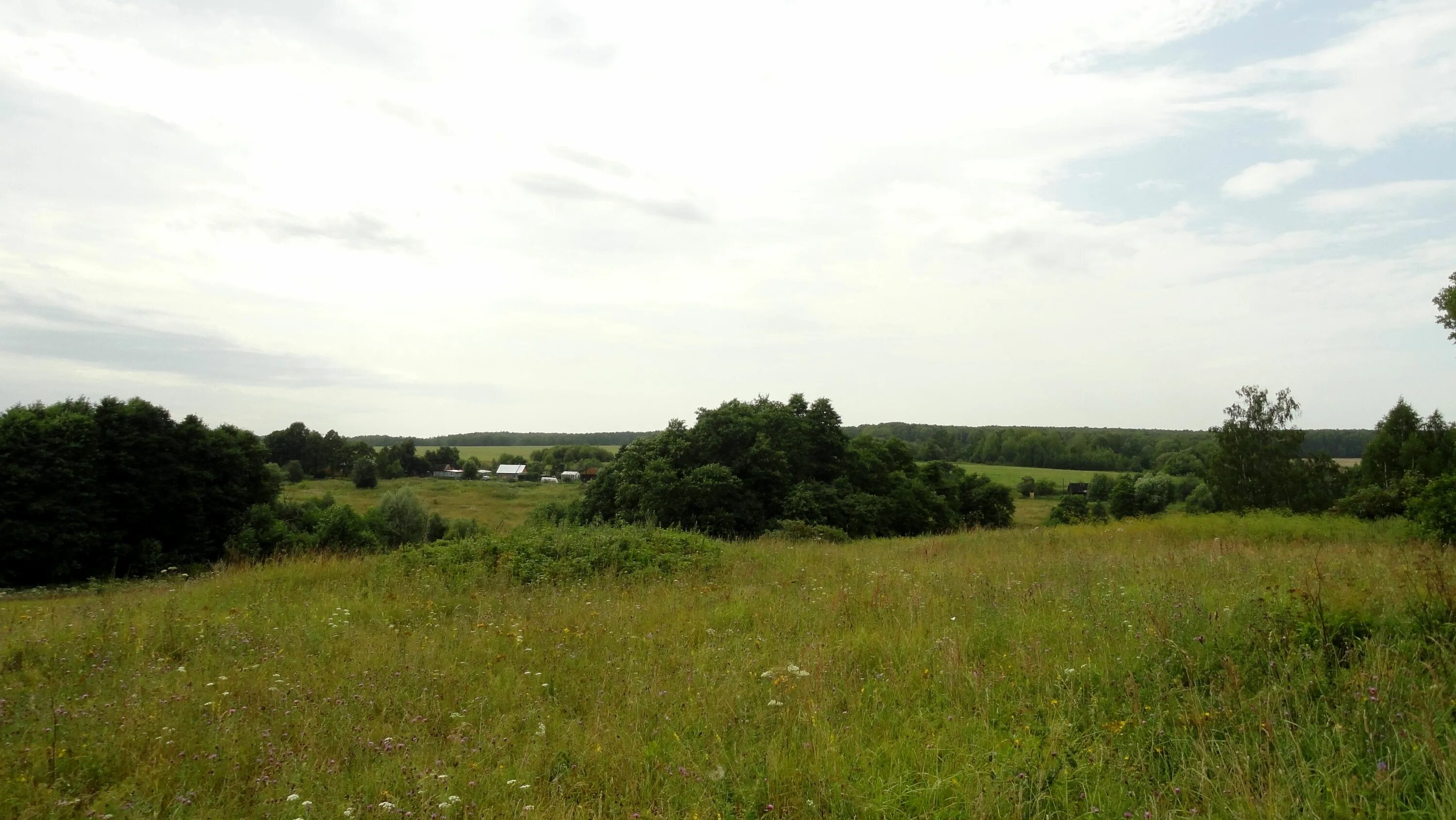 Деревня львово медынский район калужская область. Малое брянцево. Участок деревня старо. Старая 18. Участок 56 соток.