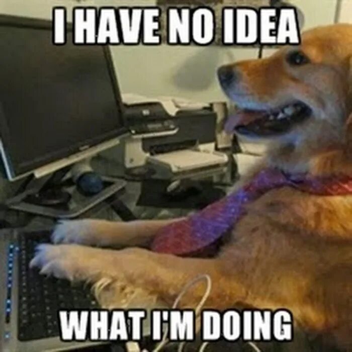 I have had no idea. I have no idea what i&#039;m doing. выражение you have no idea. i have no idea. tabby обезьяна l have no idea what i am doing.