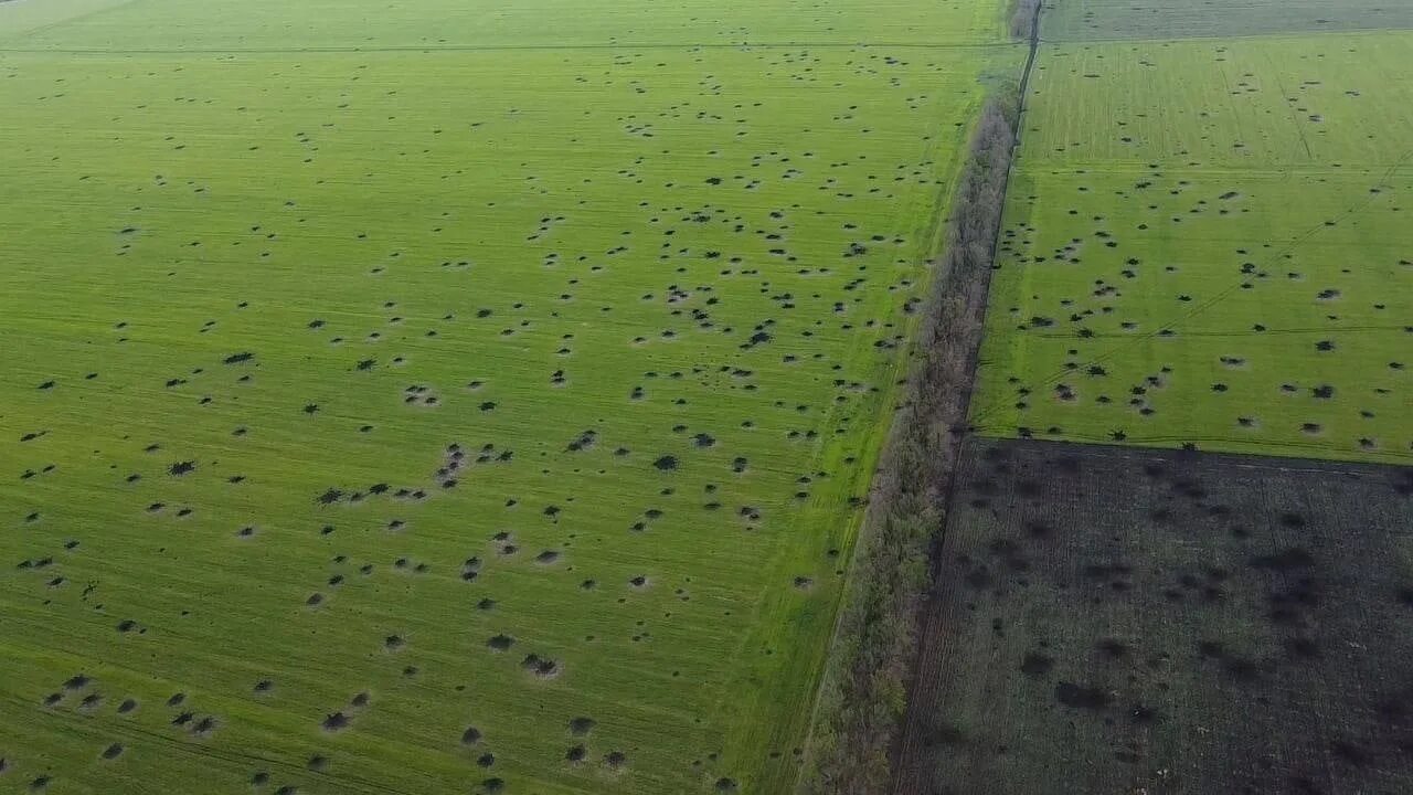 Искажающее поле. Поля украины. поле в воронках. поле вид сверху. поля с птичьего полета.