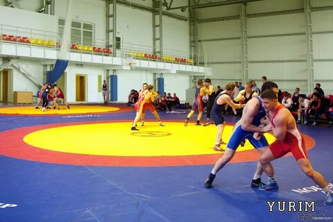 Борьба ковров