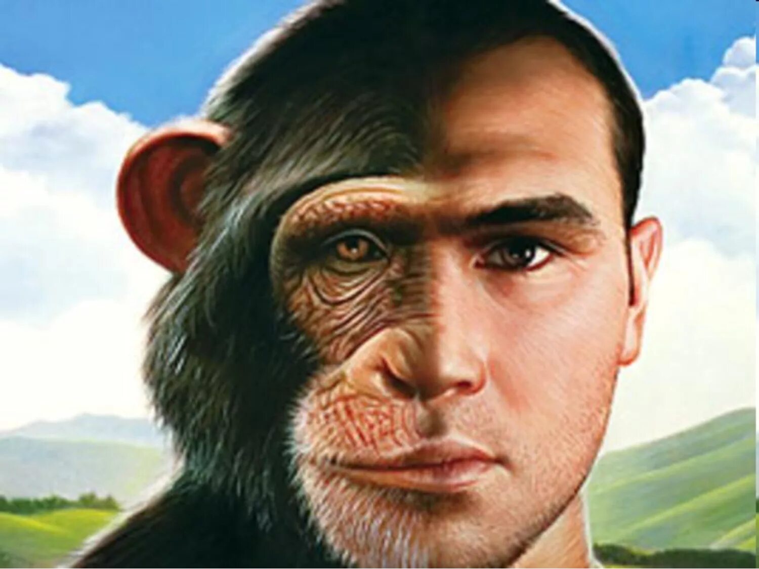Браки мужчин обезьян. Человек наполовину обезьяна. Наполовину человек наполовину обезьяна. Человек с обезьянкой.