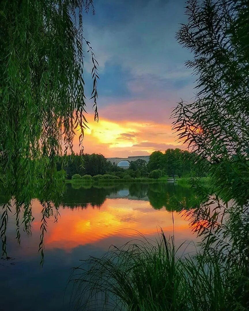 Открытка летняя ночь. Доброй ночи природа. Доброй летней ночи. Доброй ночи природа. Доброй летней ночи.