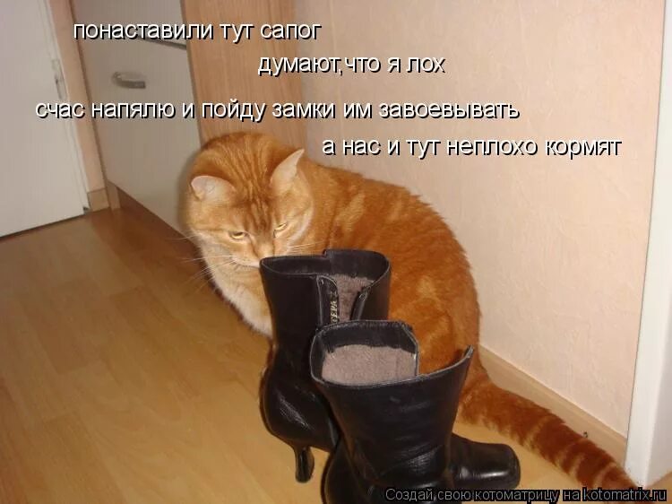 Хочу пойти на свою