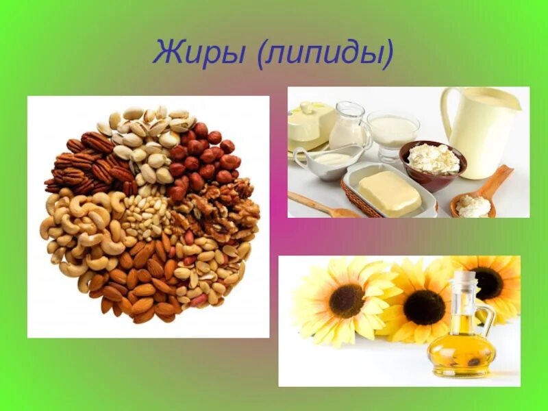 Пища богатая липидами. Липиды пищевых продуктов. Липиды это жиры. Липиды это жиры и жироподобныё. Липиды пищевых продуктов.