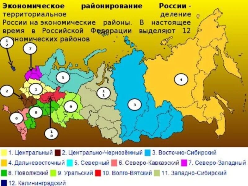 В каком из перечисленных районов россии. Границы экономических районов РФ. Экономическое районирование России карта. Граница экономических районов России на карте. Экономические районы России на карте.