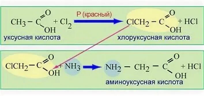 Из уксусной кислоты получить аминоуксусную кислоту