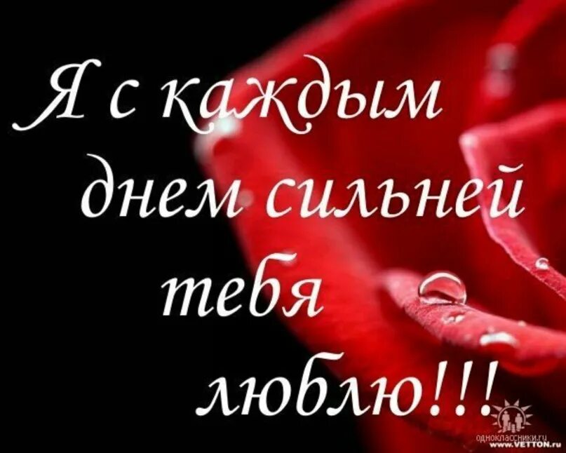 Бывшая я ее сильно люблю. Я тебя очень сильно люблю. Люблю тебя очень стльн. Люблю тебя очень стильно. Люблю тебя очень сильн.