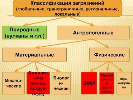 Глобальные региональные и локальные природные комплексы