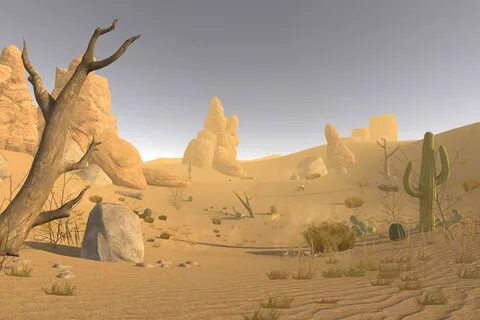 Desert environment