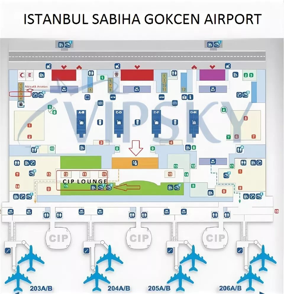 Аэропорт стамбула новый табло вылета сегодня международные. Сабиха гёкчен аэропорт схема. Аэропорт Стамбула Сабиха схема.