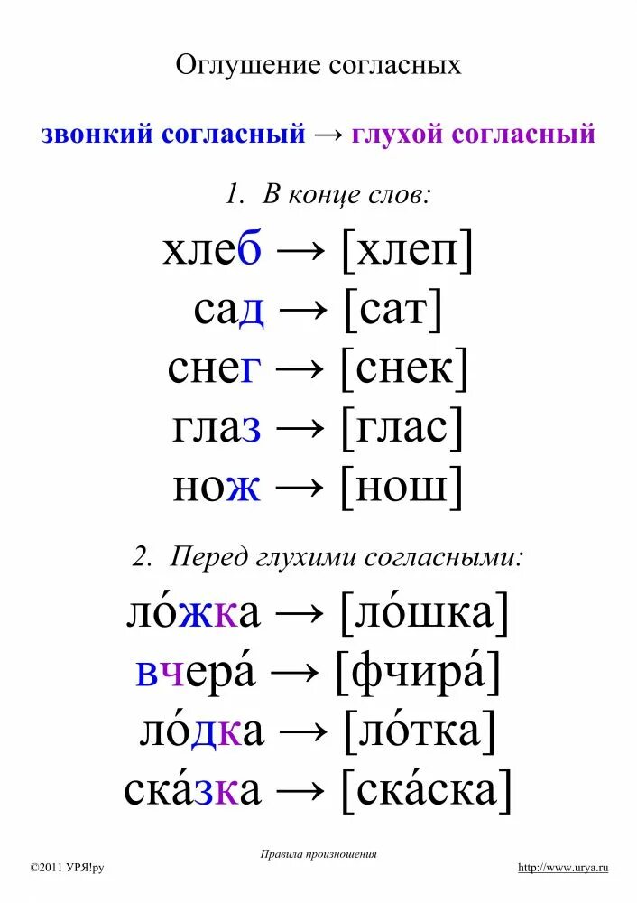 Оглушение согласных в конце слова. Оглушение согласных и озвончение согласных. Правило оглушение звонкого согласного звука. Оглушение звонкого согласного перед глухим. Оглушение звонких согласных в конце слова.