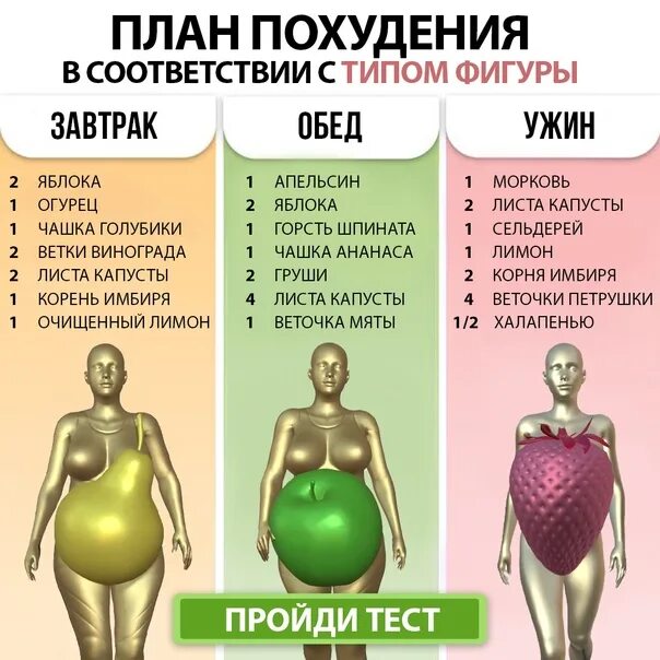 Пройди тест получи. Порядок получения документов в россии. Пройди тест получи. Ususal. Какие франшизы реально работают.