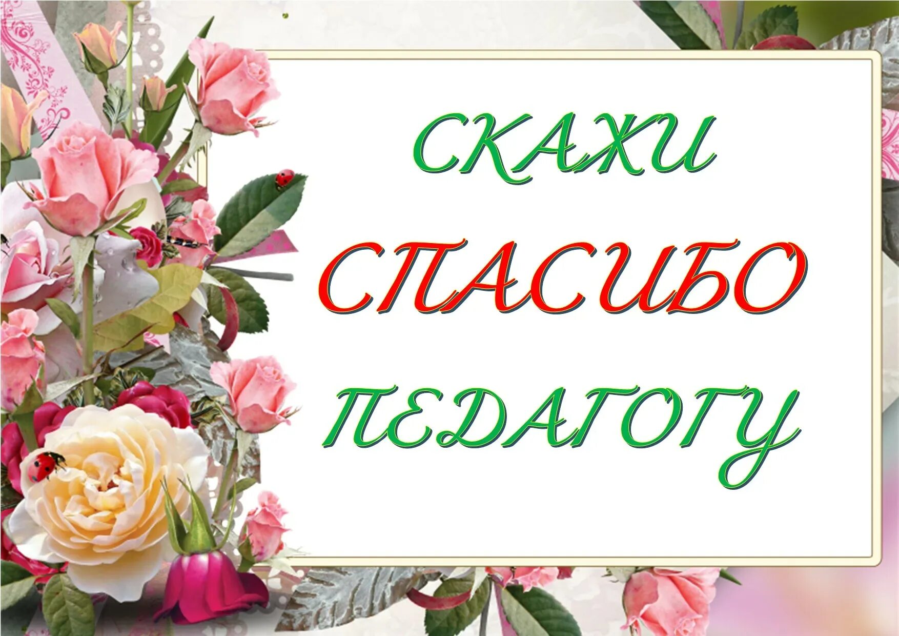 Спасибо учителю. С днём учителя поздравления. Спасибо учителю. Акция спасибо учителю. Спасибо нашим учителям.