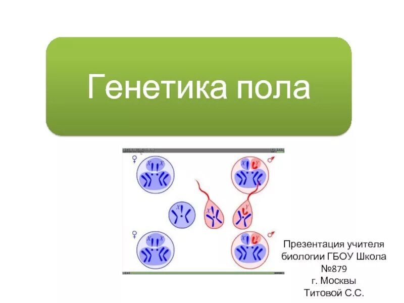 Генетика человека 10 класс биология презентация. Генетика пола. Генетика пола биология. Генетика пола презентация. Генетика пола человека кратко.