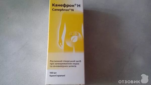 Можно ли беременным пить канефрон. Можно ли беременным пить канефрон