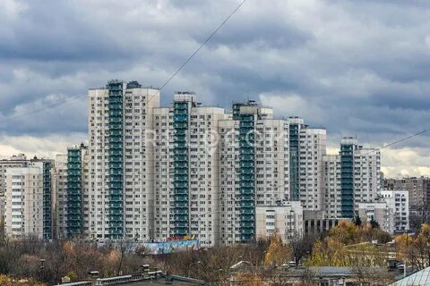 Зеленый 22 москва