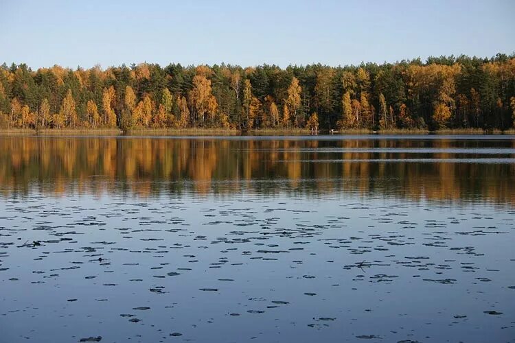 В иных озерах вода. Озеро великое Мещера. Сегденское озеро Рязань. Черненькое озеро Рязань. Озеро великое Криуша.