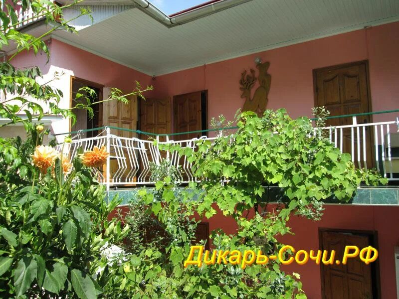 гд зеленый дворик адлер ул ленина 219/17. зеленый дворик адлер. гд зеленый дворик адлер ул ленина 219/17. зеленый дворик адлер. гостевой дом зеленый дворик адлер.