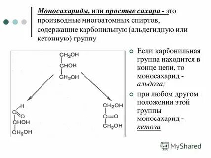 Липиды моносахариды растворимы в воде гидрофобны