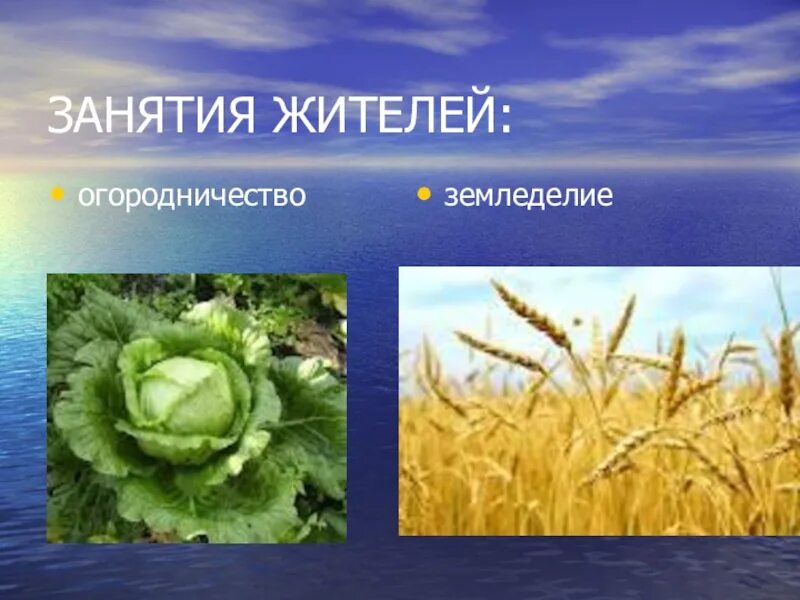 Занятия жителей колоний 5 класс кубановедение. Занятия жителей колоний. занятия жителей краснодарского края. занятия жителей колоний доклад. занятия жителей.