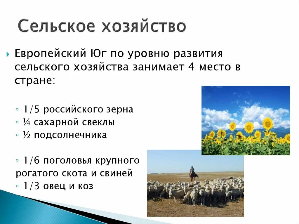 Хозяйство европейского юга презентация 9 класс. Хозяйство европейского Юга. Сельское хозяйство европейского Юга. Европейский Юг презентация. Сельское хозяйство европейской части России.