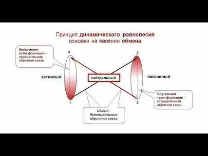 Модель динамического равновесия