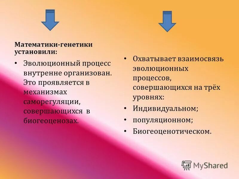 Математическая генетика. Генетика и математика. Экология и генетика. Корреляция пример Эволюция.