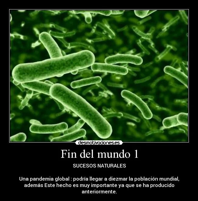 Lactobacillus rhamnosus gg lgg препарат. лактобактерин рамнозус_см. лактобактерии рамнозус см. бад. Lactobacillus rhamnosus gg препараты.
