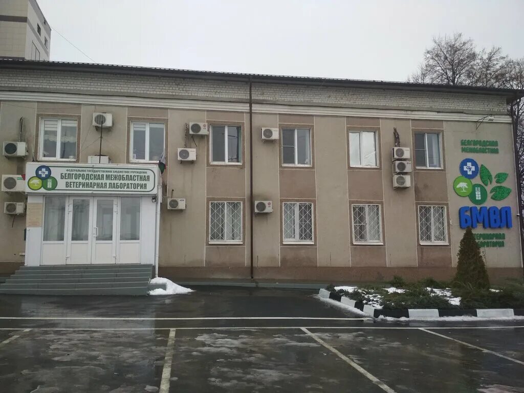 фтизисбиомед российский диагностический саммит-2022. аптека мир лекарств белгород некрасова. лаборатории белгород. белгородский проспект 57 белгород. лаборатории белгорода.