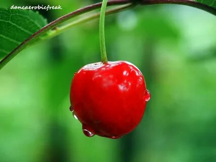 Cherry video
