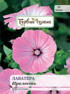 Лаватера семена