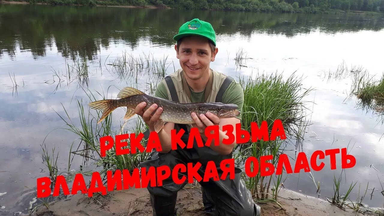 Река клязьма ногинск рыбалка. Речная рыба клязьма. Учинское водохранилище рыбалка. Рыбы обитающие в клязьме. Какая рыба в клязьме.