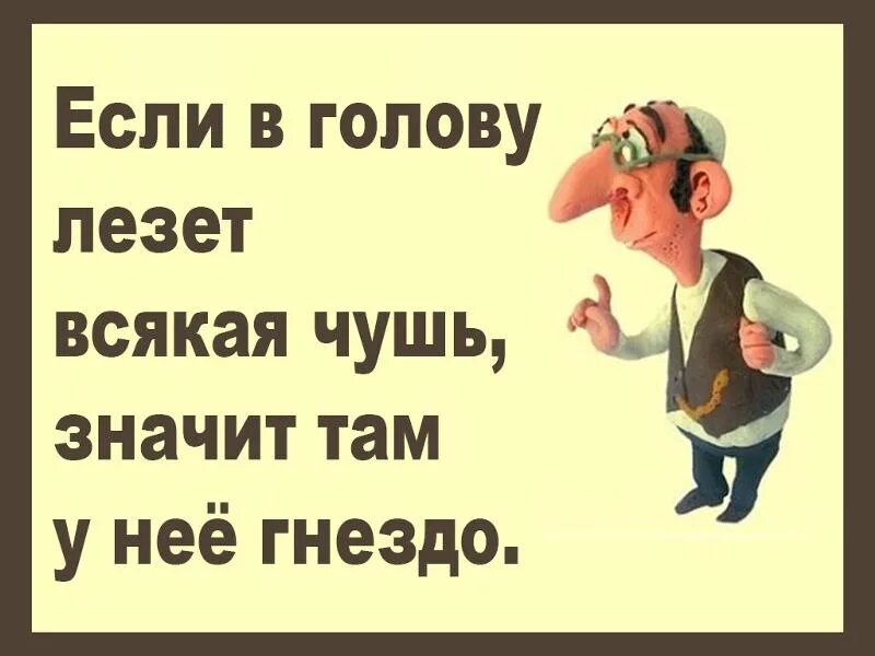 Почему несут чушь. Если вам в голову лезет всякая чушь значит у неё. В голову лезут глупости. Чушь в голове. Высказывания про чушь.