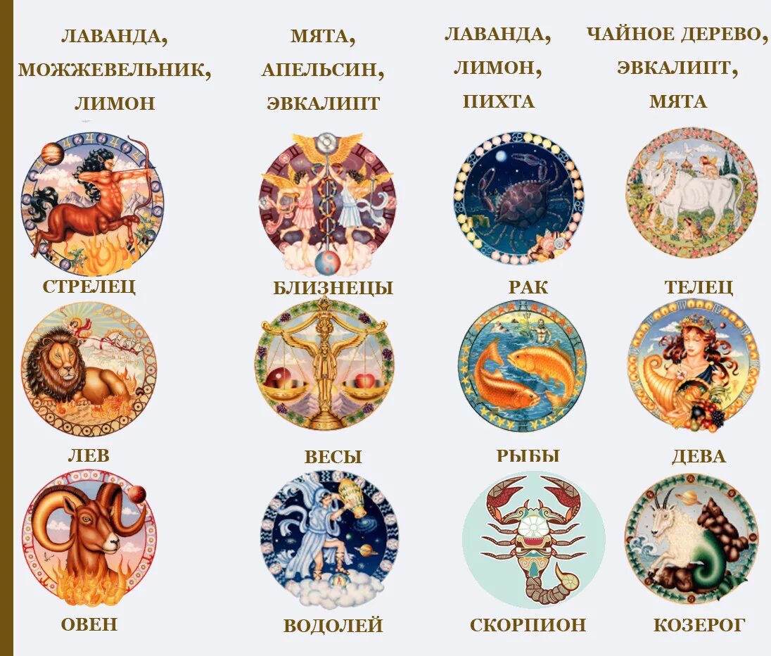 19 февраля знак гороскопа. Знаки зодиака. Гороскоп по знакам зодиака. Знаки зодикак. Символы гороскопа.