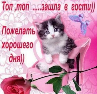 Доброго дня друзья поздравления