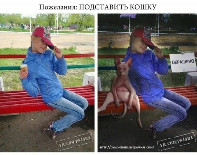 Фотожаба Пикабу