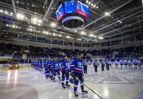 Академия спорта санкт петербург