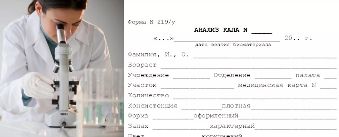 Направление на анализ кала на скрытую кровь. Направление на лабораторное исследование кал на скрытую кровь. Лаборатория для исследования кала на яйца гельминтов и простейших. Исследование кала на яйца гельминтов проводится. Как сдают анализ на яйца глистов ребенку