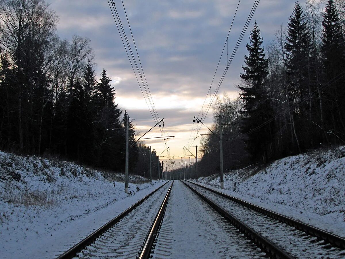 ярославская железная дорога москва. депо лосиноостровская. карта жд мо ярославское направление. схема электричек ярославля пригородных ярославля. ярославское направление железной дороги.