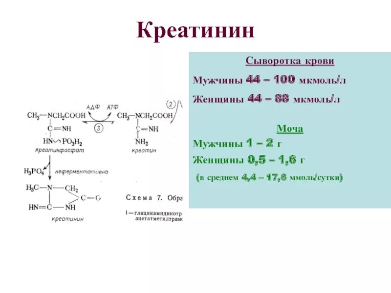 Креатинин 14