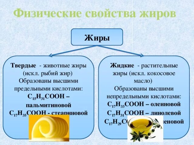 Физические свойства растительных и животных жиров. Твердые жиры. Характеристика твердых жиров. Твердые жиры и жидкие жиры.