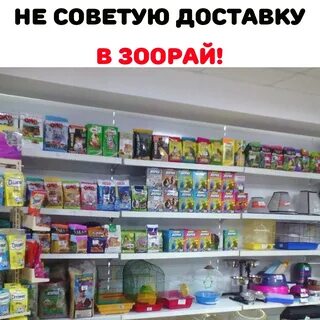 Зоомагазин чита